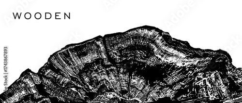Cross section of old tree close up vector illustration