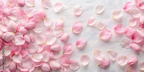 Soft pink sakura petal patterns on a white background with delicate brushstrokes and subtle texture giving a romantic and elegant feel, cherry blossom, sakura