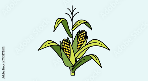 A stylized illustration depicts two ears of corn growing on a stalk with leaves.