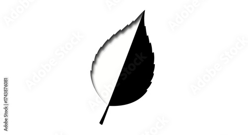 A leaf, split diagonally, one half black, the other white, against a white background.