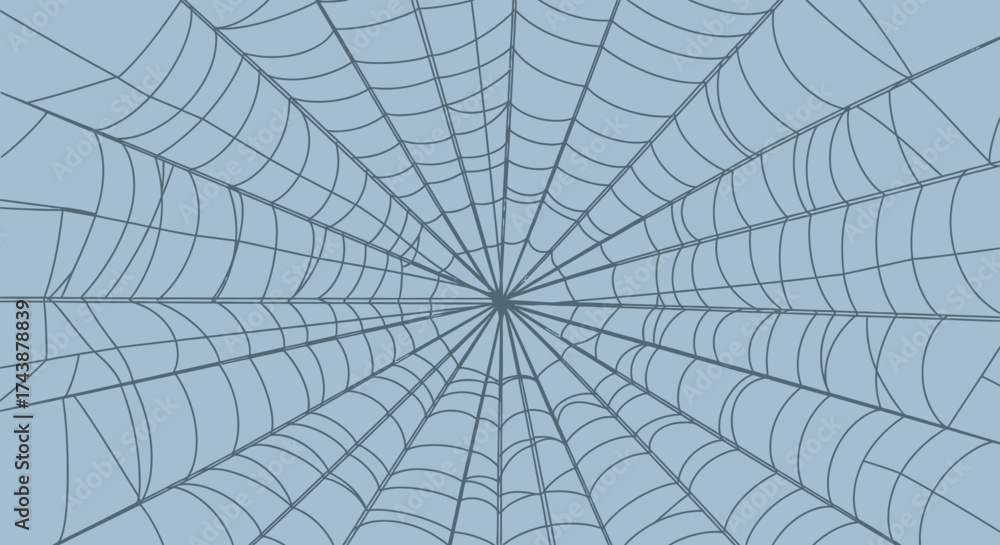 Obraz premium Spiderweb illustration with radial symmetry on a light blue background, creating a detailed, intricate pattern.