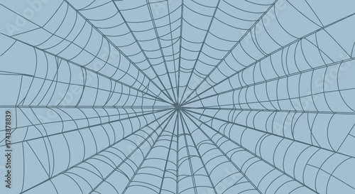 Spiderweb illustration with radial symmetry on a light blue background, creating a detailed, intricate pattern.