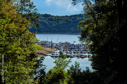 This photograph offers a scenic glimpse of a bustling lakeside marina, framed by the dark, lush foliage of trees on either side, creating a natural window effect. 