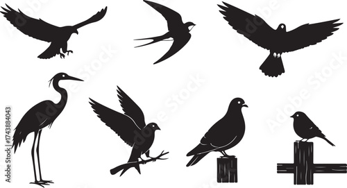 Flying Birds Silhouette Illustration