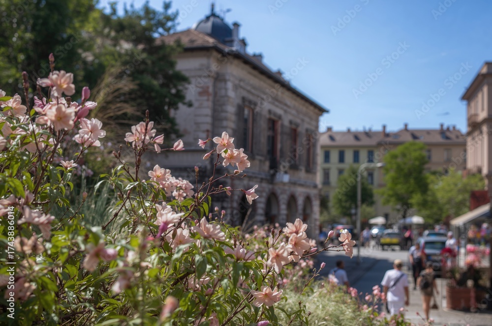 Fototapeta premium Cityscape featuring vibrant blossoms near historic architecture