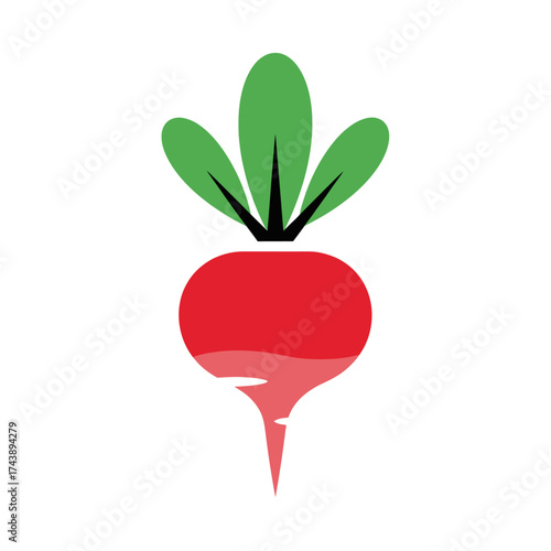 Illustration of a fresh radish with green leaves isolated on white background, vector art