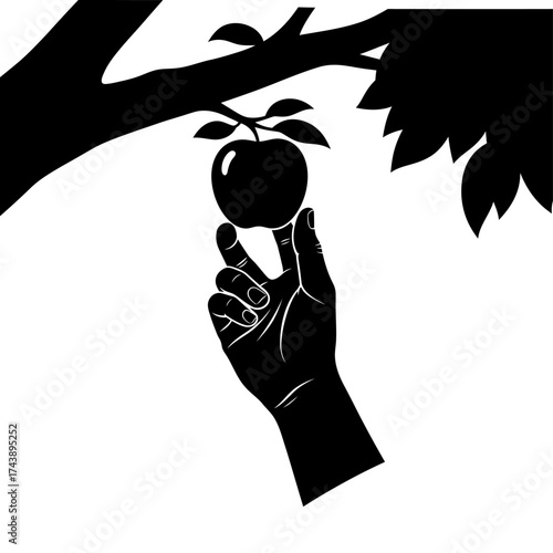 Hand picking apple from tree isolated on white background vector illustration in black