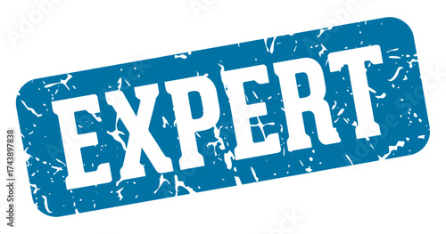expert rectangular sign. expert stamp