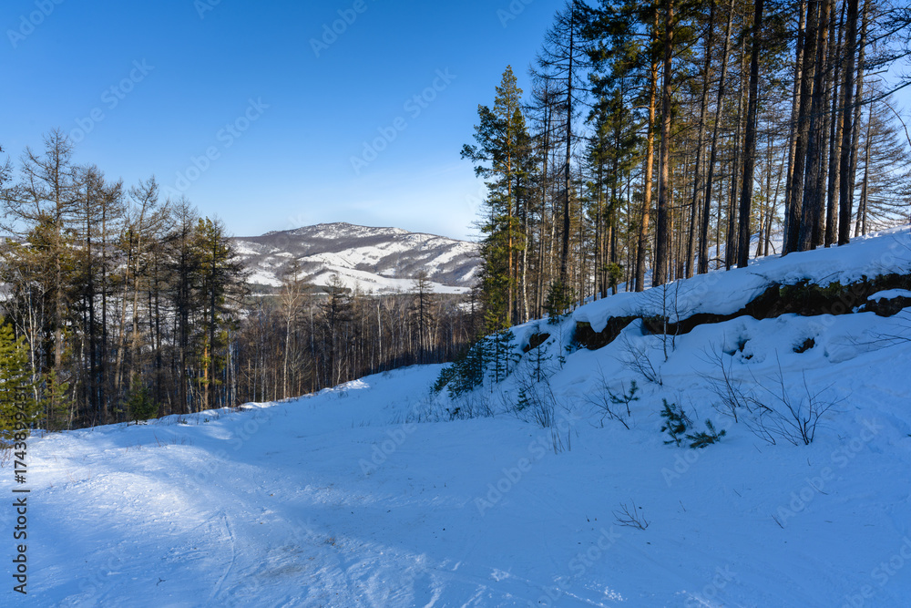 Obraz premium Freeride ski slope in the forest of the Ural Mountains on a frosty winter day near the village of Abzakovo. The concept of an active lifestyle, sports and travel in nature.
