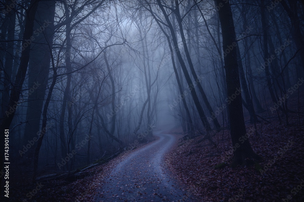Fototapeta premium Pathway through a misty woodland
