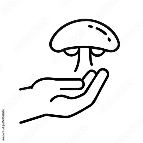 Hand holding a mushroom in line art style representing mushroom picking  