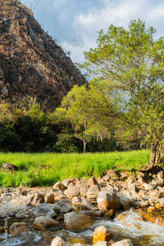 Beautiful landscape on the banks of the river