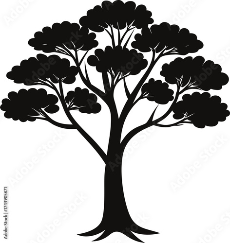 Silhouette of a large spreading tree with dense foliage