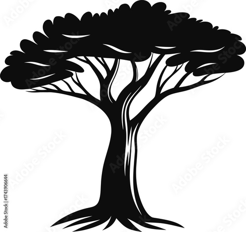 Silhouette of a large spreading tree with visible roots