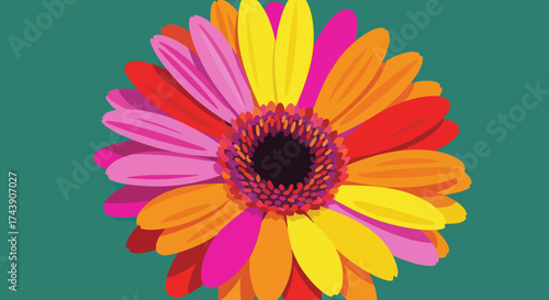 A vibrant, stylized illustration of a multi-colored gerbera daisy against a teal background