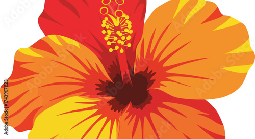 Close-up of a stylized hibiscus flower, featuring vibrant red, orange, and yellow hues