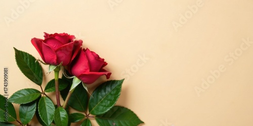 Two vibrant red roses with lush green foliage rest elegantly on a pale yellow backdrop, creating a serene and romantic scene.
