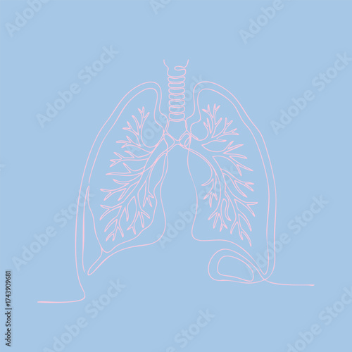 Detailed medical of human lungs highlighting bronchial tubes and airway structures against a light blue
