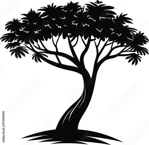 Silhouette of a lush tree with spreading branches and foliage