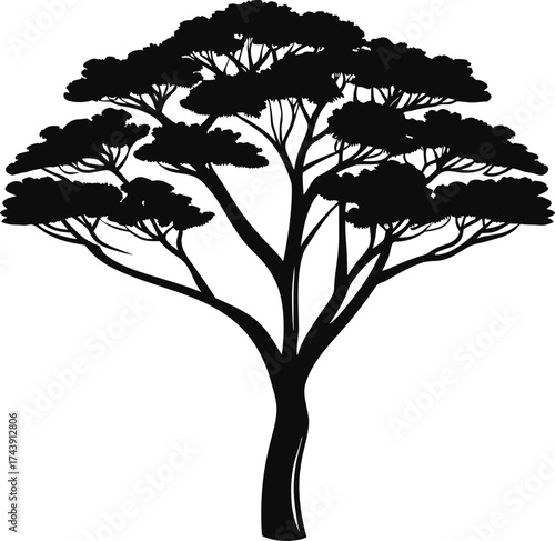 Silhouette of a majestic acacia tree against a white background