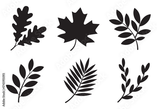 Collection of six black silhouette autumn leaves and branches for decorative elements silhouette
