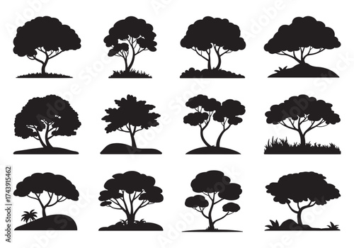 Collection of diverse tree silhouettes showing various shapes and growth patterns for natural designs silhouette