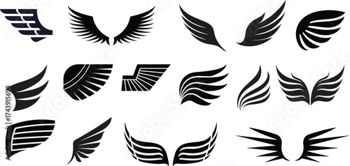 Collection of diverse black and white wing graphic designs and icons