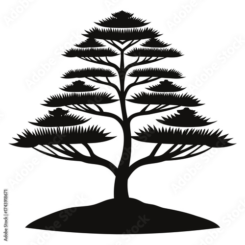Silhouette of a majestic pine tree on a mound