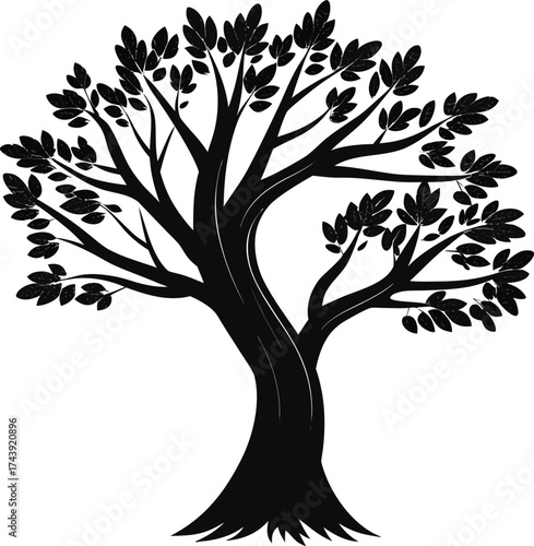 Silhouette of a majestic tree with spreading branches and leaves