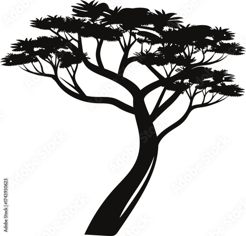 Silhouette of a unique african acacia tree