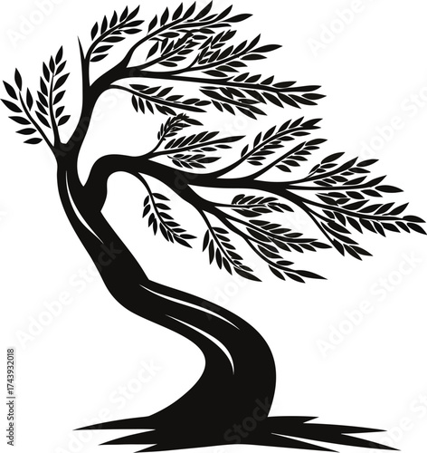 Silhouette of a windswept olive tree with flowing branches and leaves