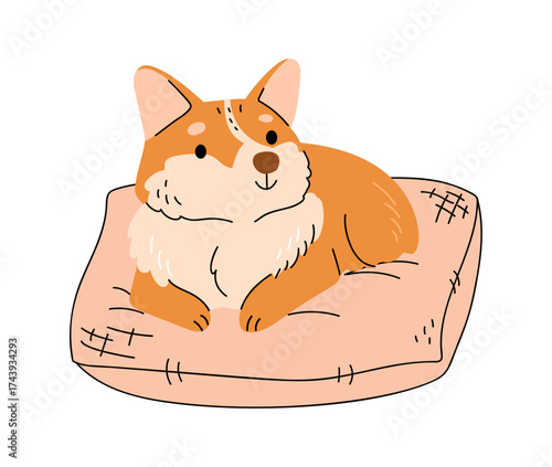 Corgi breed canine animal laying on bed, resting or sleeping. Vector in flat style, isolated happy home pet with furry coat and funny facial expression. Kawaii dog personage, people companion