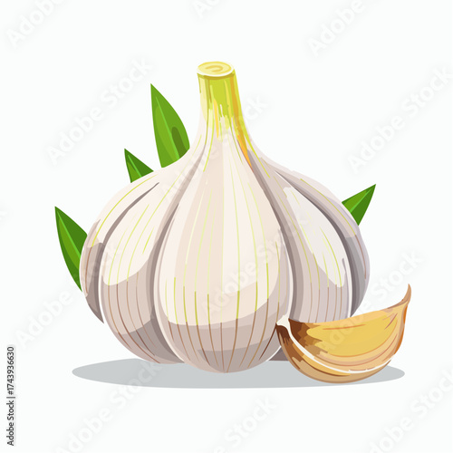 Knoblauch