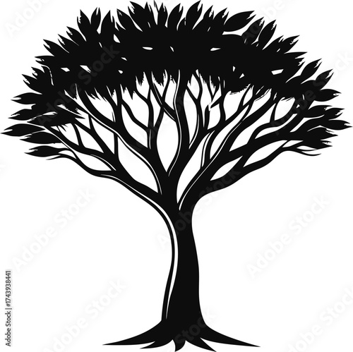 Stylized silhouette of a spreading tree with dense foliage