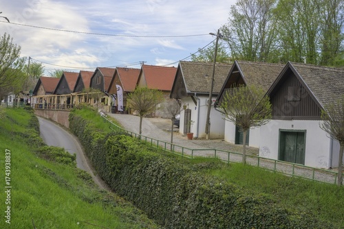 Wallpaper Mural Cellar alley, Zmajevac, Osijek-Baranja County, Croatia Torontodigital.ca