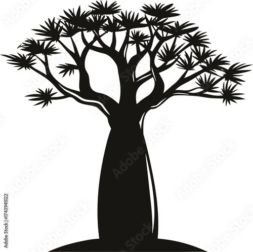 Silhouette of a baobab tree with a thick trunk and spreading branches