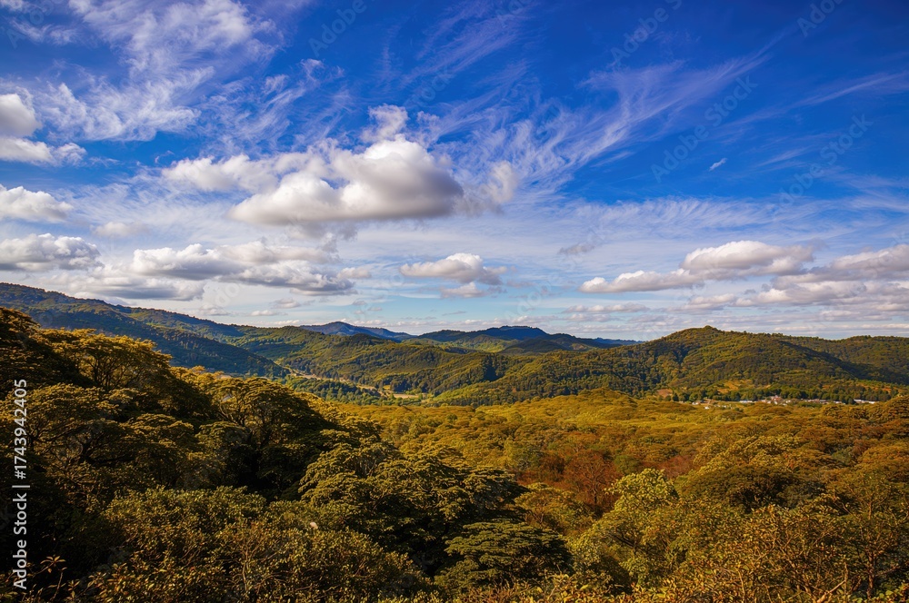 Naklejka premium The Historical Background of the Island