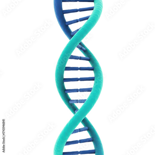 3D render of human DNA double helix structure representing genetics, biology, and medical science research isolated PNG with Transparent Background