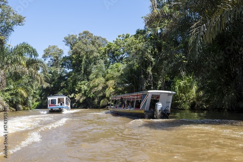 Two boats with tourists, Rio Suerte river in the rainforest, dense vegetation, Tortuguero National Park, Costa Rica