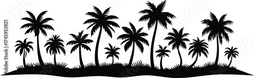 Horizontal beach tree jungle landscape border element vector illustration isolated on a white background