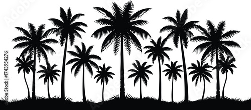 Horizontal beach tree jungle landscape border element vector illustration isolated on a white background