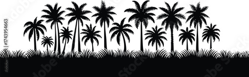 Horizontal beach tree jungle landscape border element vector illustration isolated on a white background