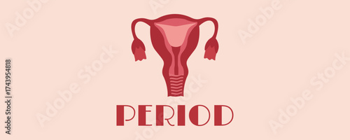 Women’s period banner with uterus element. Menstruation and women health design