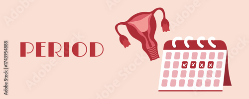 Women’s period banner with elements: uterus, calendar. Menstruation and women health design