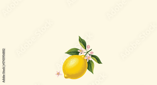 Watercolor Lemon Branch with Blossoms and Leaves on a Light Yellow Background