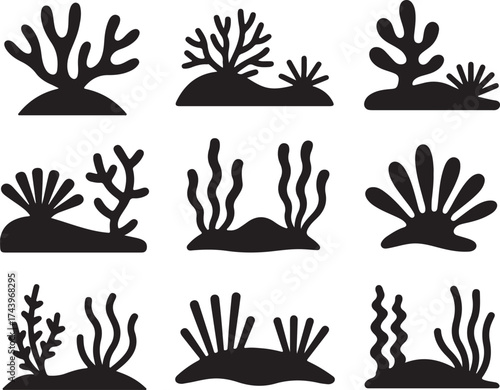 Silhouette Coral Collection Sea Ocean Underwater Marine Plant Reef Algae Flora Marine