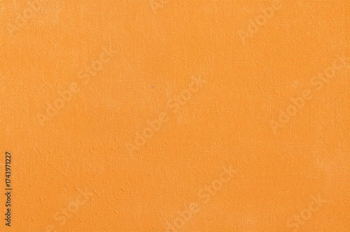 Wallpaper Mural Delicate patterned texture on orange fabric Torontodigital.ca