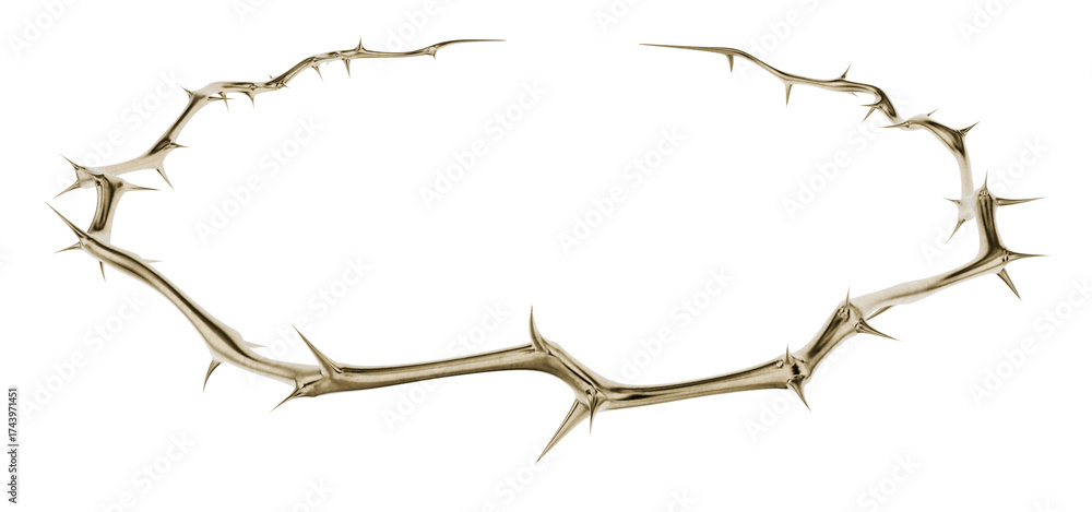 Fototapeta premium This sculptural golden thorn circle is a bold design element. Its aggressive form is a striking symbol for contemporary religious and gothic art.