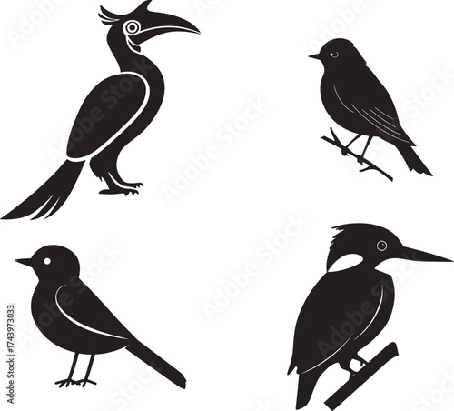 bird, silhouette, hornbill, branch, perch, avian, 