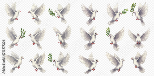 Collection of white doves in various poses, some carrying olive branches, symbolizing peace and hope.
